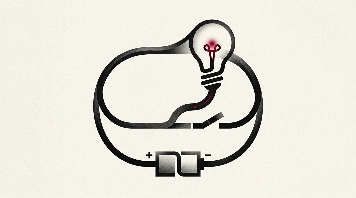 Electricity: Circuits and Their Components